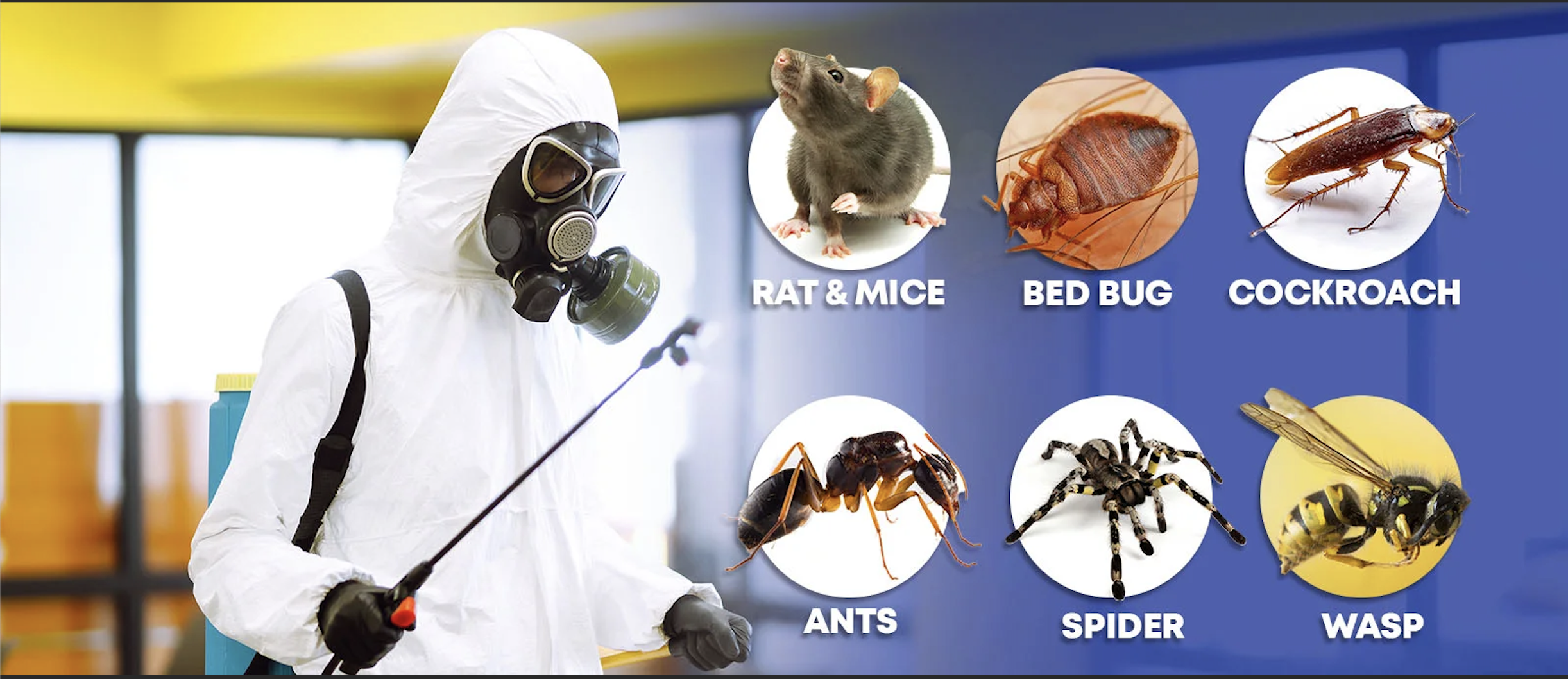 pest control services